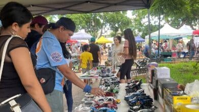 Parque de Santiago: cuna de coleccionistas