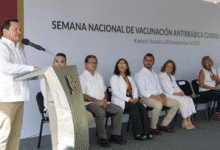 unay gradúa a más de 90 artistas que impulsarán la cultura en méxico