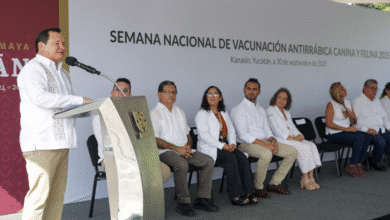 unay gradúa a más de 90 artistas que impulsarán la cultura en méxico