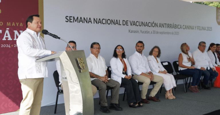 unay gradúa a más de 90 artistas que impulsarán la cultura en méxico