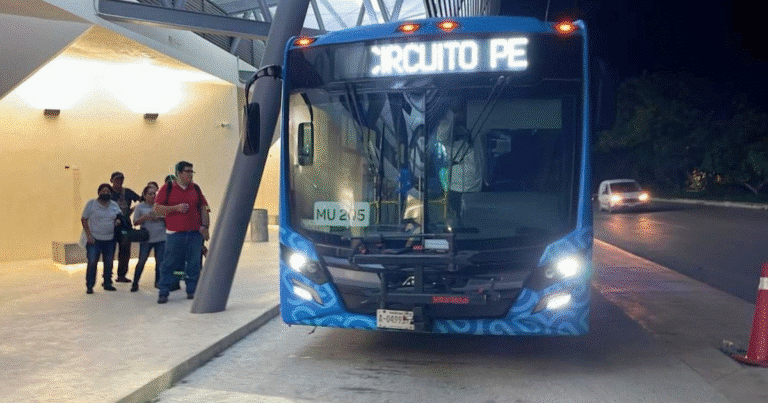 va y ven mantiene su crecimiento pese a contingencias operativas