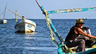yucatán establece quinta zona de refugio pesquero en telchac puerto