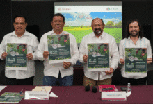 yucatán impulsa innovación y sostenibilidad en expo agro innovación 2025