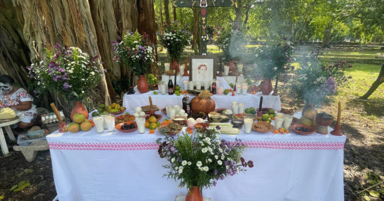 además de la flor de cempasúchil, otras flores brillan en día de muertos