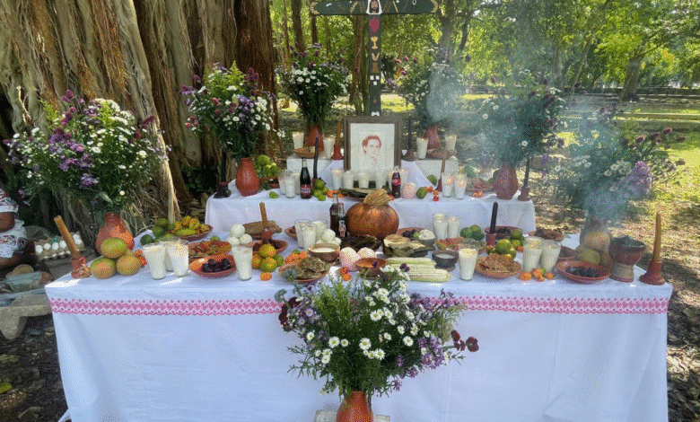 además de la flor de cempasúchil, otras flores brillan en día de muertos