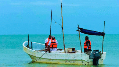 arrancará en próximas semanas programa de apoyo de motores para pescadores