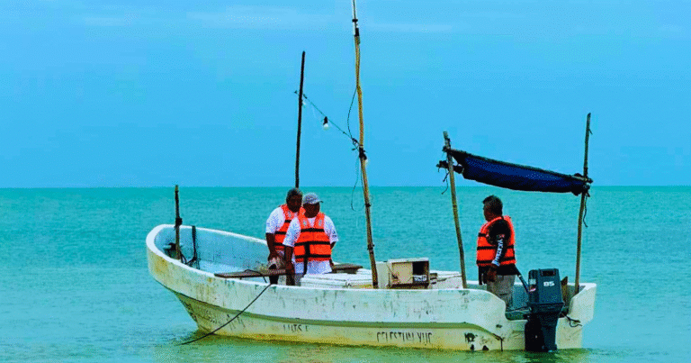 arrancará en próximas semanas programa de apoyo de motores para pescadores