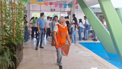 casa abierta 2025 más de 2,500 visitantes descubren la ciencia en el cicy