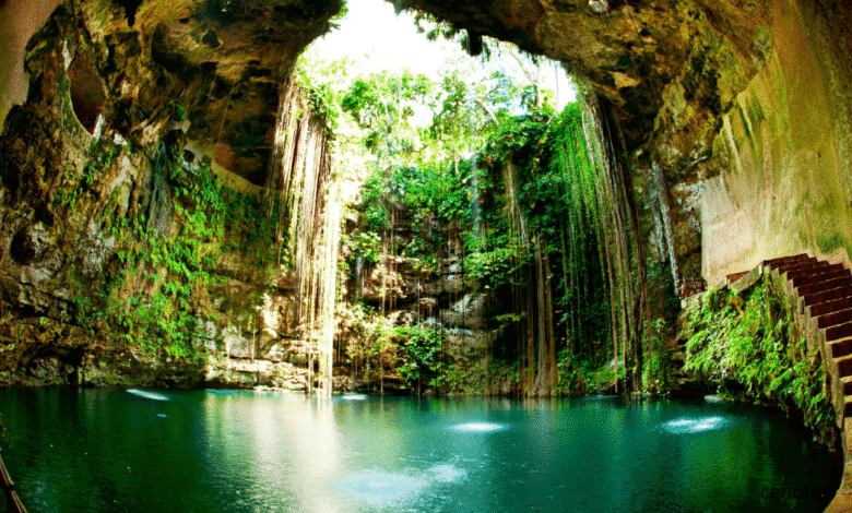A sólo unos kilómetros de Puerto Morelos se extiende un corredor natural de más de 35 km conocido como la Ruta de los Cenotes. Con más de 60 cenotes entre abiertos, semiabiertos y cavernas, ofrece una combinación perfecta de aventura, descanso y ecoturismo. Entre los imperdibles: Cenote Las Mojarras, Siete Bocas, Boca del Puma, Verde Lucero y La Noria.