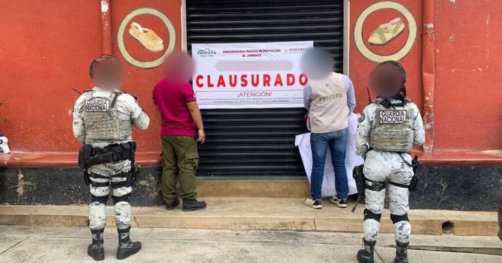 clausuran negocio en oaxaca por vender huaraches de piel de avestruz 2