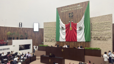 congreso de yucatán lanza convocatoria para integrar el consejo consultivo de la codhey
