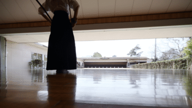 Los dojos de espada —espacios físicos y simbólicos donde se enseñó kenjutsu, iaijutsu y, más tarde, kendo e iaido— fueron instituciones clave para la formación militar, social y moral en el Japón feudal.