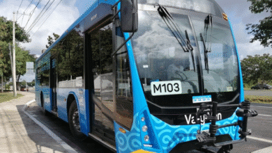 diseño sin título (11)