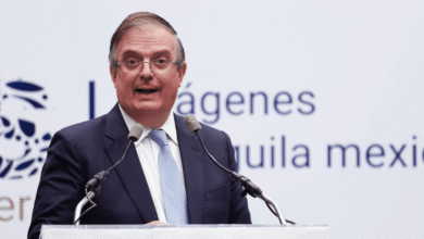 Ebrard T-MEC sobrevivirá; buscará minimizar aranceles