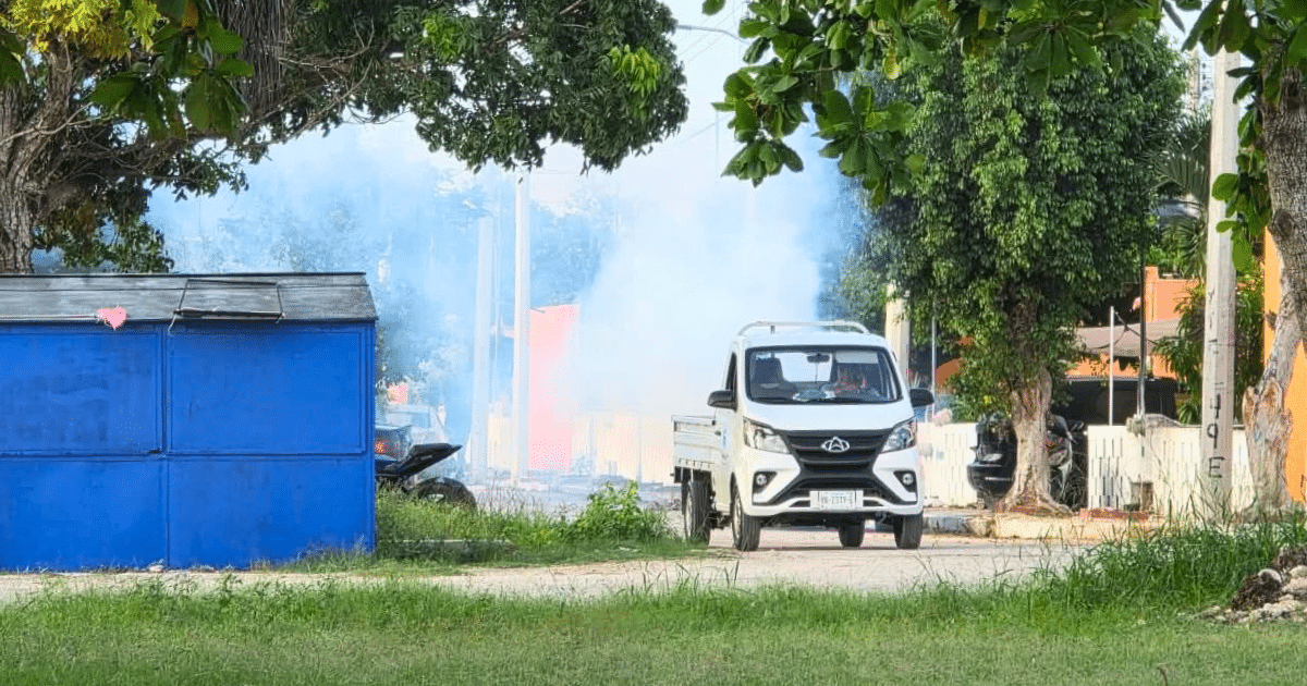 erik rihani intensifica fumigación en progreso tras lluvias recientes