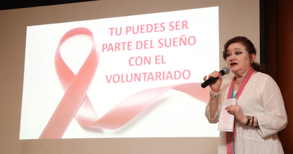 feria de vacantes del ayuntamiento abre camino a universitarios en proyectos sociales