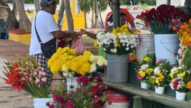 floristas de cementerios de mérida prevén repunte de 20% en ventas