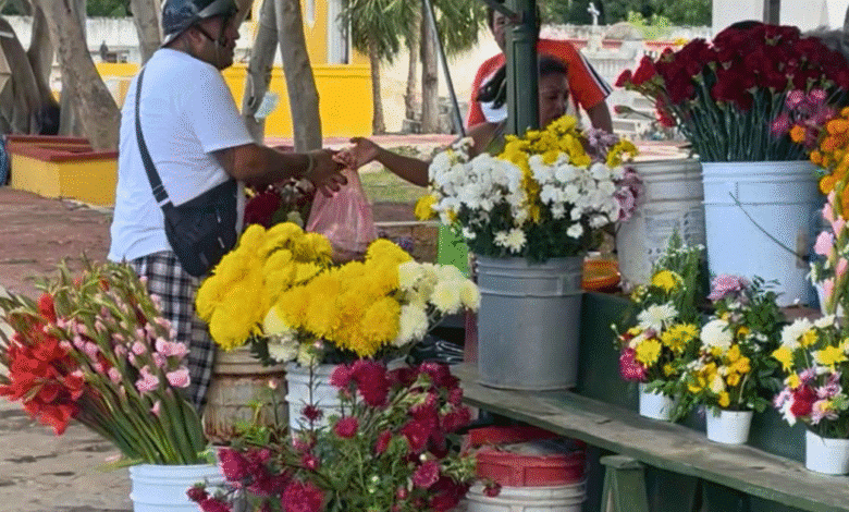 floristas de cementerios de mérida prevén repunte de 20% en ventas