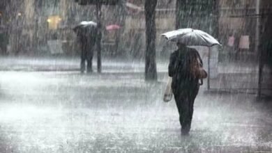 Clima hoy: un viernes lluvioso para estos estados, se esperan torbellinos (Foto de internet)