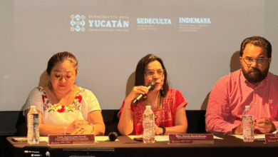 gran muestra de altares 2025 tradición y memoria maya en la plaza grande de mérida