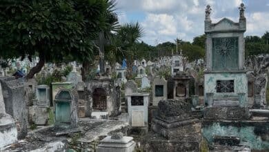Recuperan hasta 120 bóvedas cada mes en los cementerios de Mérida