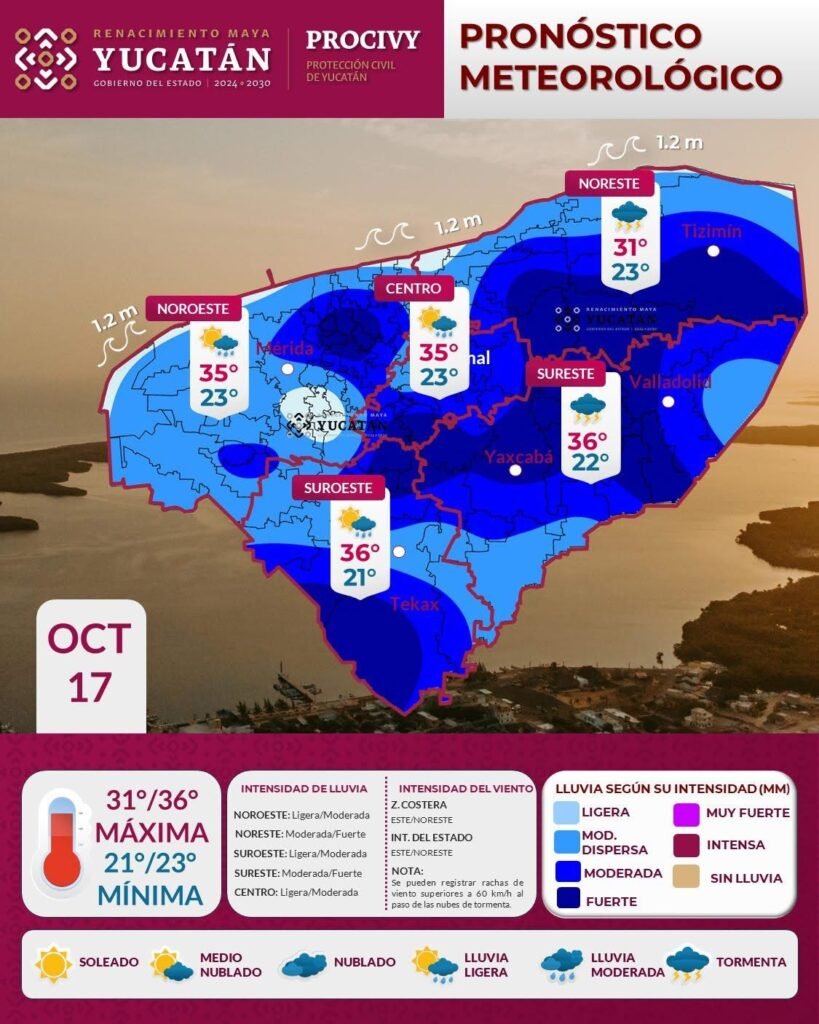 imagen de whatsapp 2025 10 17 a las 10.42.16 b400e905