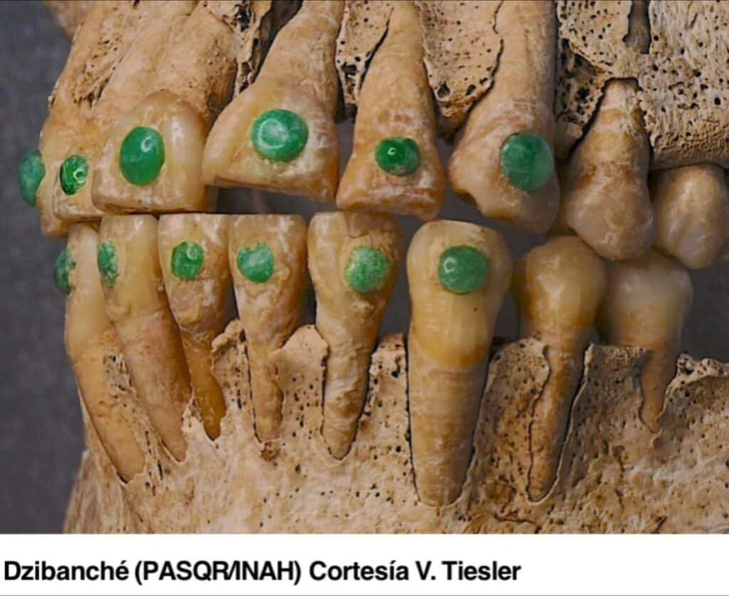 imagen de whatsapp 2025 10 28 a las 12.28.07 524c6be2