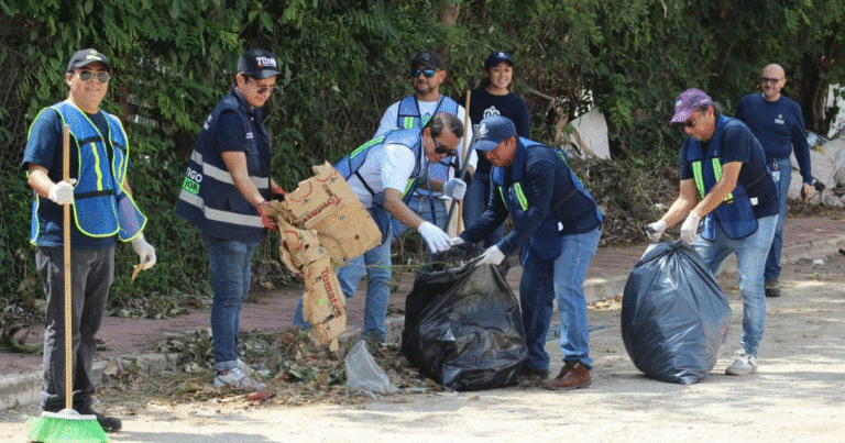 intensifican operativos para atender predios abandonados en mérida