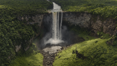 La leyenda que salta al vacío Kaieteur Falls, la joya oculta de Guyana (Foto por René Koster)