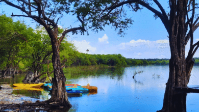 Laguna de Nachi Cocom secreto sagrado de la selva en Yucatán