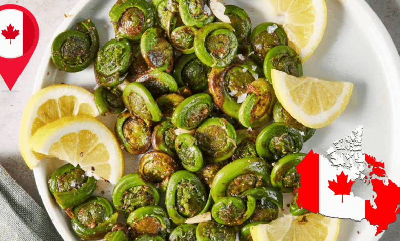 Más allá del Poutine Fiddleheads, el tesoro de Canadá que solo se come en primavera