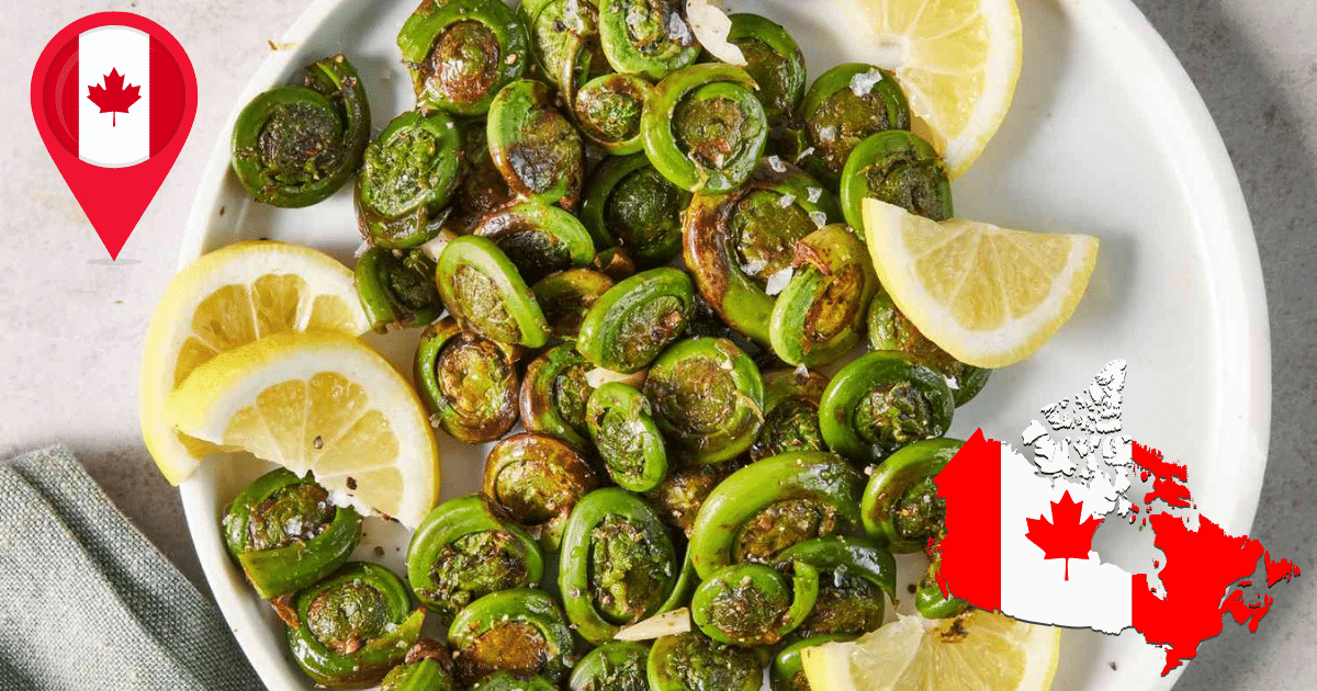 Más allá del Poutine Fiddleheads, el tesoro de Canadá que solo se come en primavera