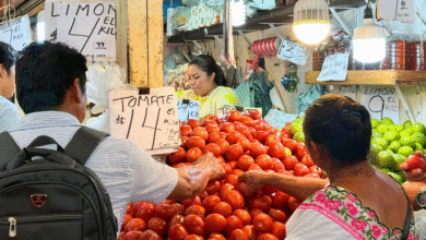 mérida lanzará tours culturales en el mercado lucas de gálvez para turistas y locales