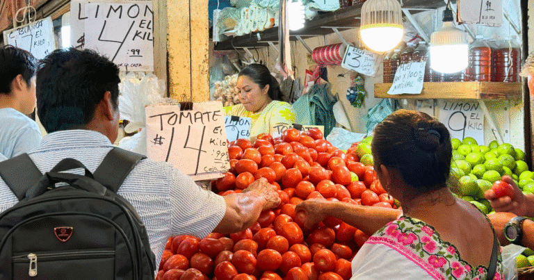 mérida lanzará tours culturales en el mercado lucas de gálvez para turistas y locales