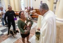 Bendición de animales y plantas en San Sebastián, Mérida celebró el legado de San Francisco de Asís