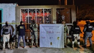 Operativos antinarcóticos en Kanasín y Mérida dejan dos detenidos y decomiso de sustancias prohibidas