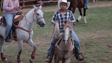 Del 4 al 13 de octubre habrá vaquería, corridas de toros, bailes populares y espectáculos musicales