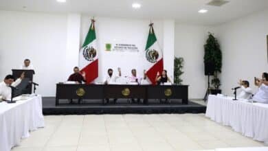 plizado