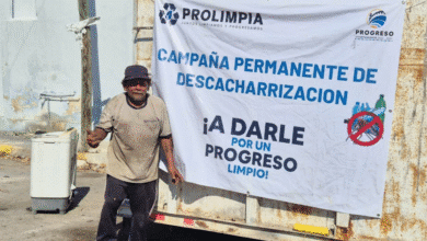 progreso intensifica la lucha contra el dengue con campañas de descacharrización y fumigación