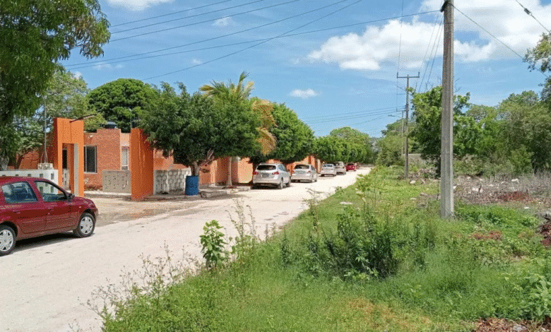 progreso se integra al segundo paquete de vivienda del bienestar con nuevo desarrollo en flamboyanes