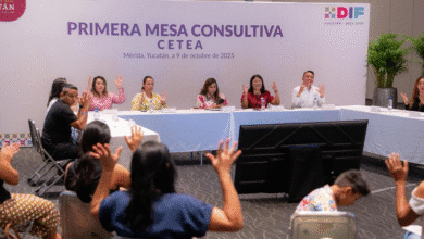 proyecto nuevo (5)