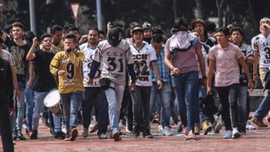 El término "porro" describe a grupos de choque que operan dentro y en las inmediaciones de la Universidad Nacional Autónoma de México (UNAM) y otras instituciones de educación superior en México. Su existencia se remonta a mediados del siglo XX, evolucionando de grupos de animación deportiva a ser utilizados con fines de control político y represión estudiantil.