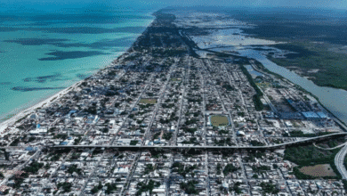 puerto de progreso, tren y viaducto el impulso logístico que transformará yucatán