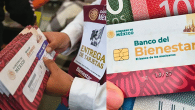 Revelan el calendario de pagos tentativo de los programas de Bienestar para noviembre