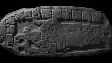 revelan el nombre de una poderosa reina maya en la península de yucatán