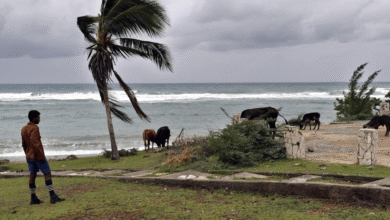 SRE activa atención consular para mexicanos ante impacto del huracán “Melissa” en el Caribe