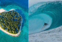 Tavarua, la isla de Fiyi con forma de corazón (Foto por redes sociales y Surfer Rule)