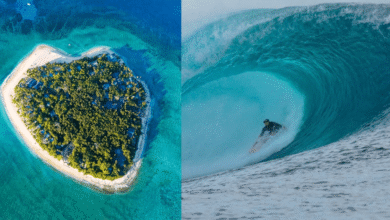 Tavarua, la isla de Fiyi con forma de corazón (Foto por redes sociales y Surfer Rule)