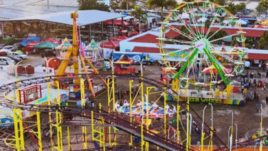 tizimín se prepara para la feria de reyes 2026 con actividades culturales y ganaderas