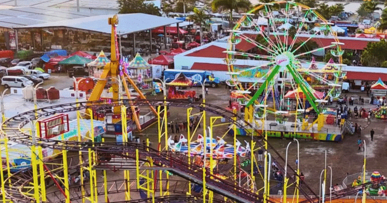 tizimín se prepara para la feria de reyes 2026 con actividades culturales y ganaderas